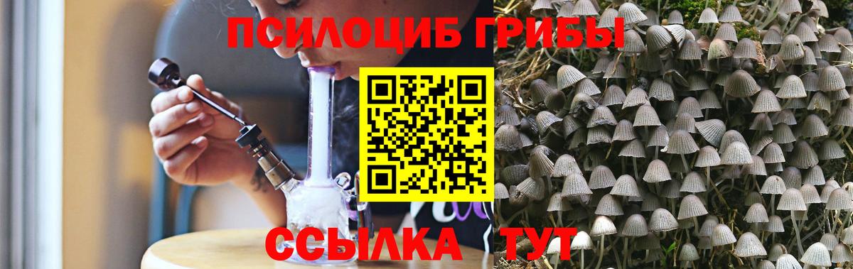 Галлюциногенные грибы Cubensis Воскресенск