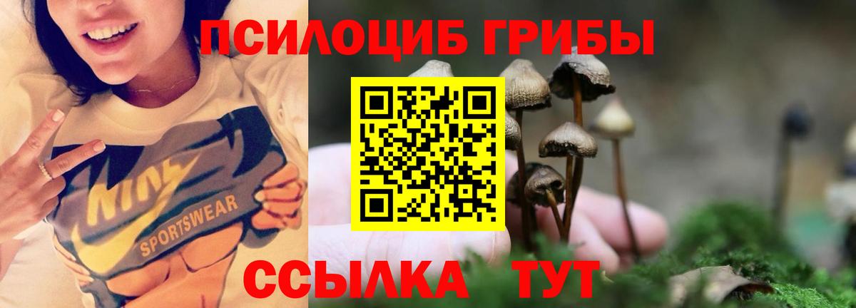 Воскресенск  закладки  Псилоцибиновые грибы ЛСД  Вход с VPN  Галлюциногенные грибы мухоморы 